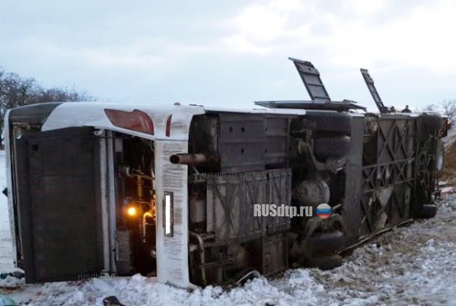 Пять человек погибли в ДТП с участием автобуса в Ростовской области