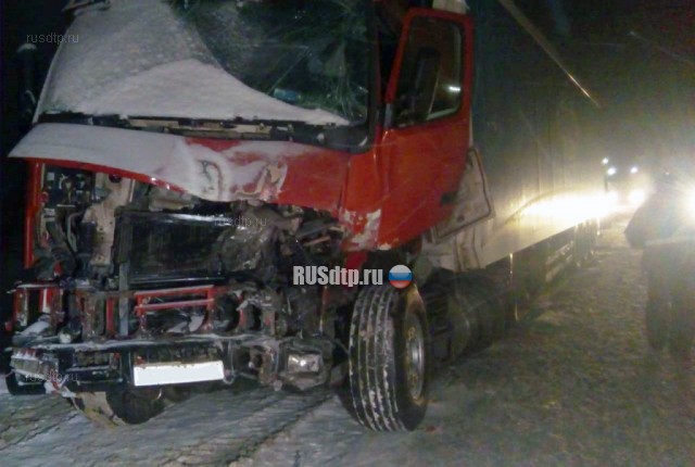 Четыре человека погибли в ДТП на трассе М-5 в Нижнеломовском районе