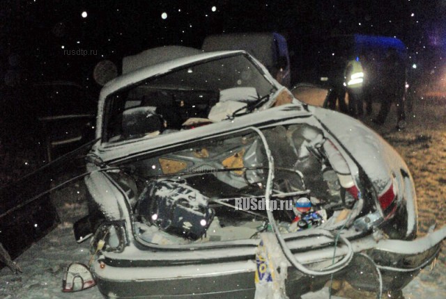 Пассажир «Волги» погиб в ДТП на трассе М-5 в Путятинском районе