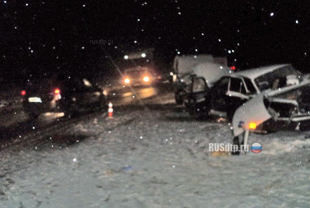 Пассажир «Волги» погиб в ДТП на трассе М-5 в Путятинском районе