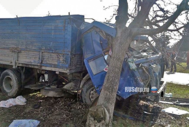 На Кубани начинающий водитель грузовика погиб в ДТП