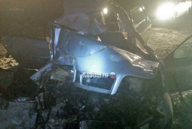 В Гродненской области водитель потерял дочь, сбив лося на дороге