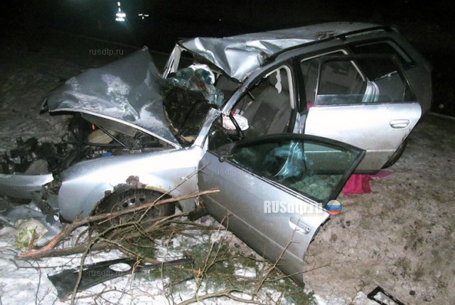 В Гродненской области водитель потерял дочь, сбив лося на дороге