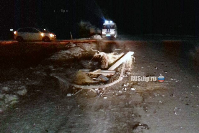 Пассажир саней погиб при столкновении с автомобилем в Учалинском районе