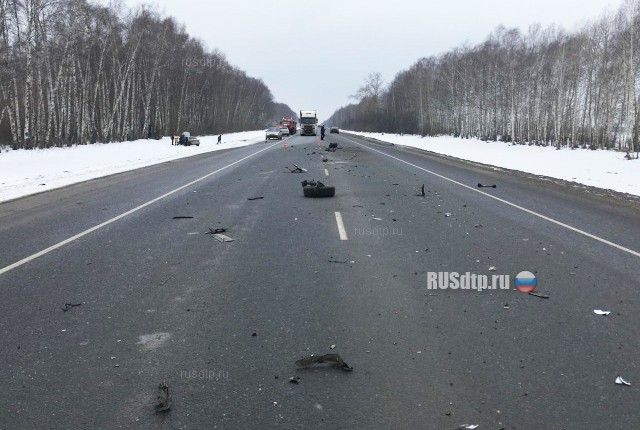Водитель «Кашкая» погиб в ДТП на трассе М-5 «Урал» в Спасском районе