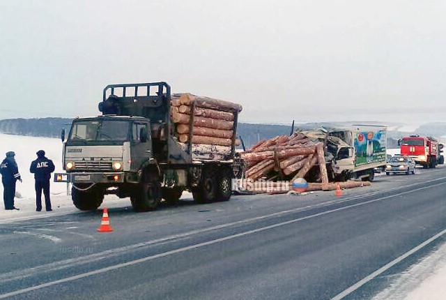 Трое погибли в ДТП с участием молоковоза и лесовоза в Иркутской области