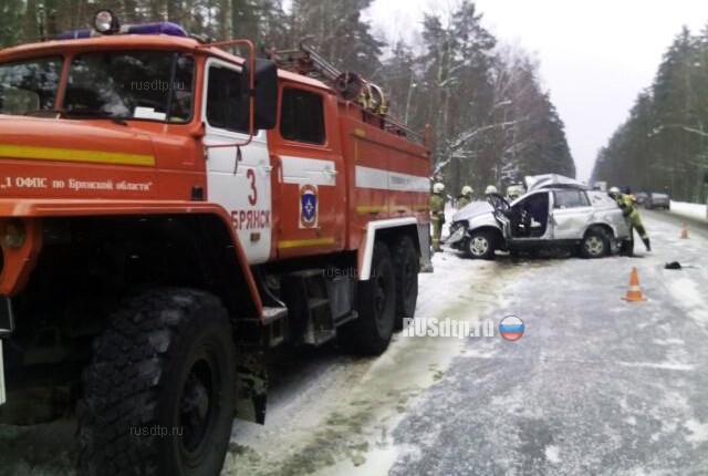 Три человека погибли на объездной автодороге Брянска