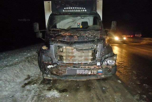 Один человек погиб в массовом огненном ДТП на трассе М-7 в Петушинском районе
