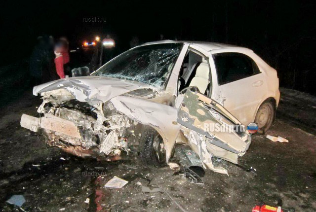 Мужчина и женщина погибли в ДТП по вине пьяного водителя в Нижегородской области