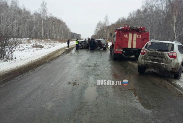 Два человека погибли по вине пенсионера в Челябинской области