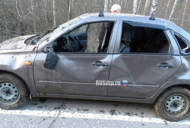 В Рязанской области водитель «Гранты» пострадал, избегая наезда на лося