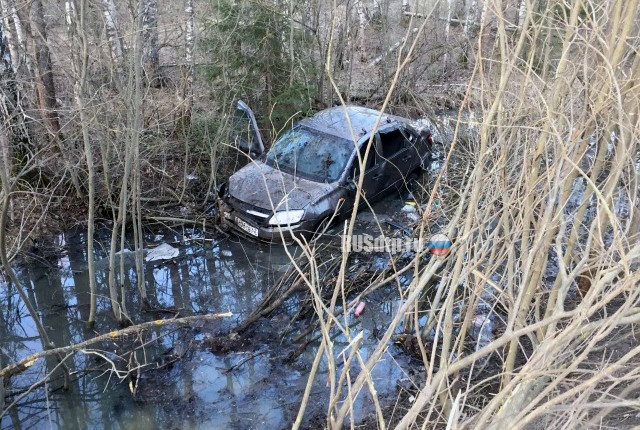 В Рязанской области водитель «Гранты» пострадал, избегая наезда на лося