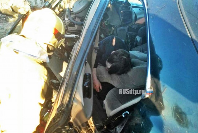 В Чебоксарах пьяный водитель погиб, врезавшись в столб