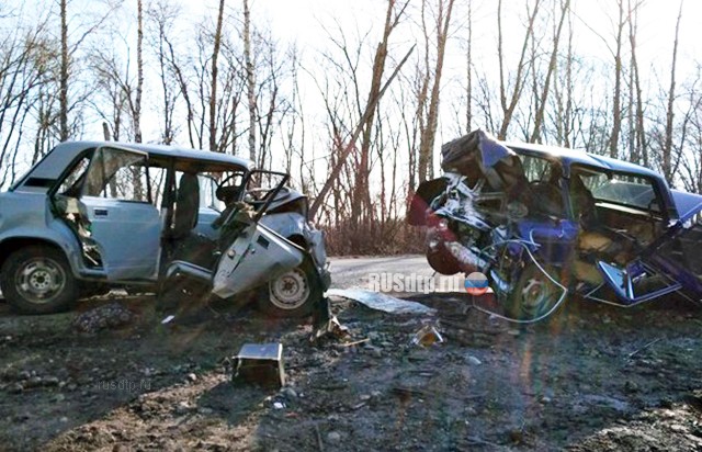 Трое пенсионеров погибли в ДТП на трассе Курск-Саратов