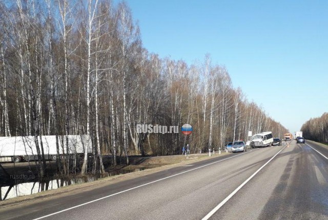 9 человек пострадали в ДТП с участием маршрутки на трассе «Брянск &#8212; Новозыбков»
