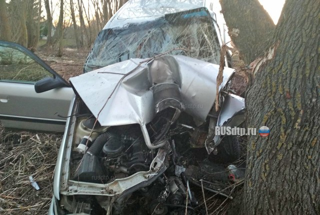 В Знаменском водитель иномарки погиб, врезавшись в дерево