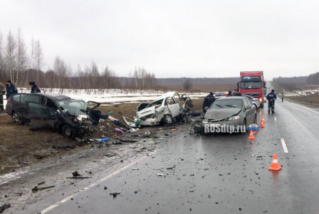 Три человека погибли в ДТП на трассе М-6 «Каспий» в Скопинском районе