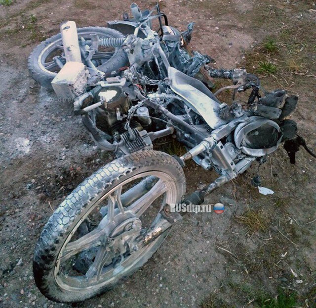 Мотоциклист погиб в ДТП с автобусом на трассе М-2 «Крым»