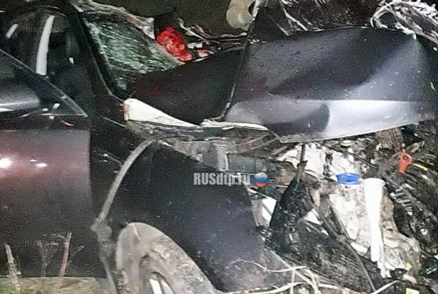 Тракторист без прав совершил смертельное ДТП в Нижегородской области