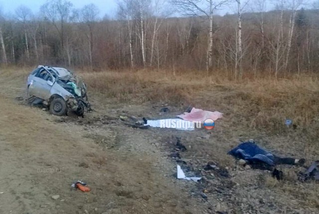 Четыре человека погибли в ДТП на трассе Чита-Хабаровск в ЕАО