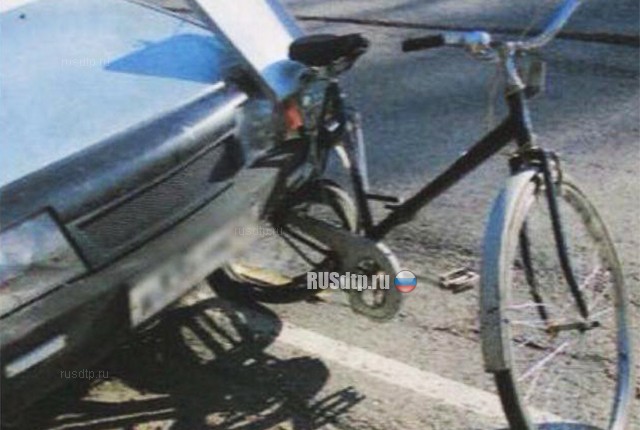 В Ленобласти пьяный полицейский насмерть сбил 83-летнего велосипедиста
