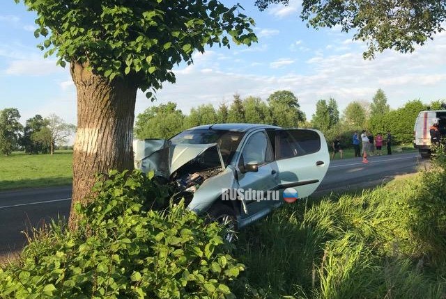В Калининградской области по вине пьяного водителя в ДТП погибли два человека