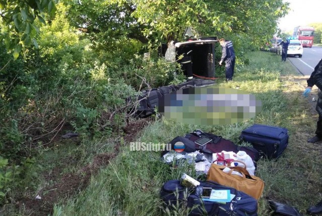 Пять человек погибли в ДТП с микроавтобусом на трассе «Одесса-Николаев»