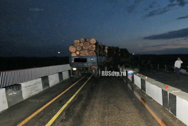 На Алтае в ДТП с участием лесовоза и минивена погибли два человека
