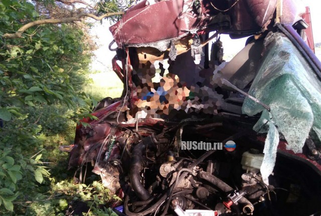 На Львовщине в ДТП с участием микроавтобуса и грузовика погибли 6 человек