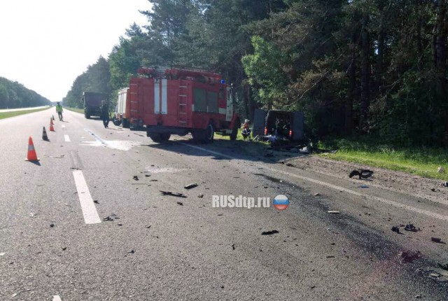 На Львовщине в ДТП с участием микроавтобуса и грузовика погибли 6 человек