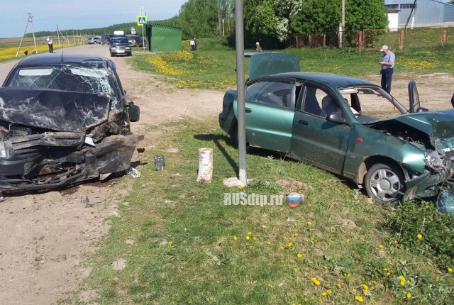 В Татарстане по вине пьяного водителя в ДТП погиб пожилой мужчина