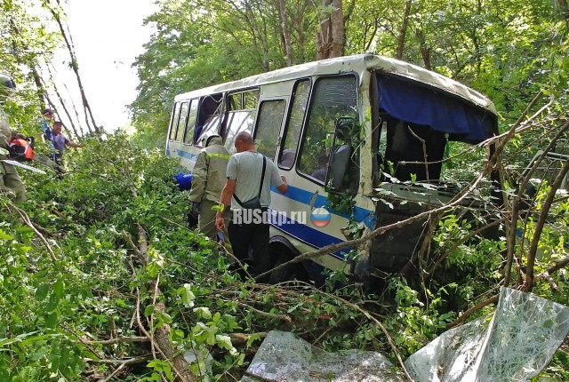 В Крыму потерявший управление автобус вылетел с дороги. ВИДЕО