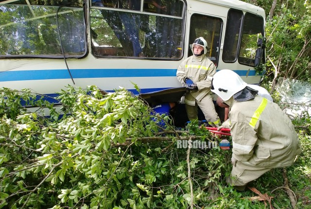 В Крыму потерявший управление автобус вылетел с дороги. ВИДЕО
