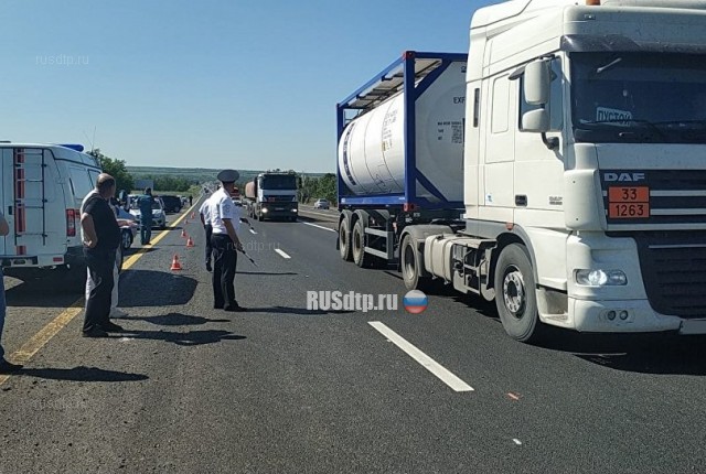 Семья из пяти человек погибла в ДТП на трассе М-4 «Дон» в Ростовской области