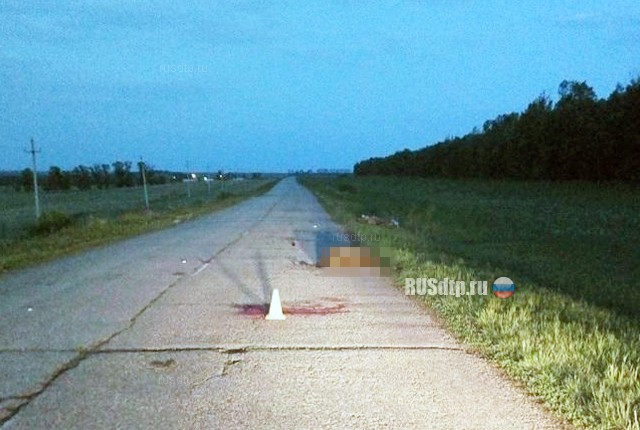 В Башкирии школьник на скутере наехал на мертвого жеребенка