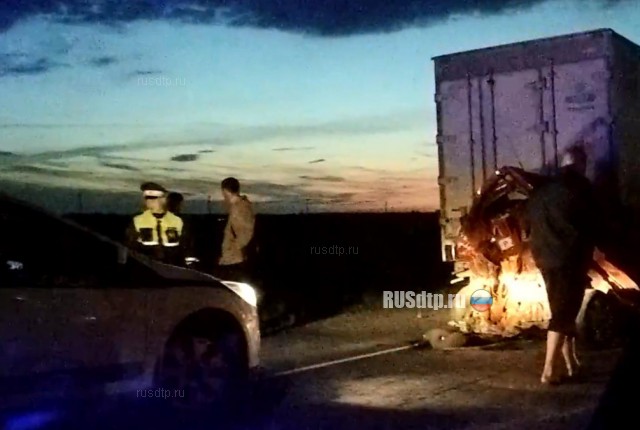 Три человека погибли в массовом ДТП на трассе «Тюмень – Ханты-Мансийск»