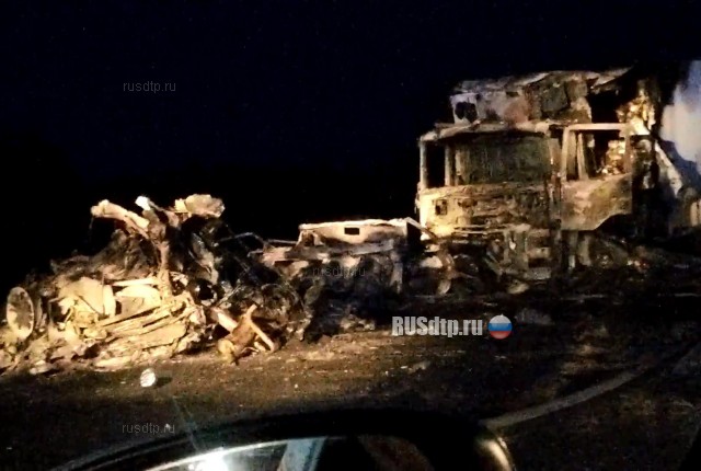 Три человека погибли в массовом ДТП на трассе «Тюмень – Ханты-Мансийск»