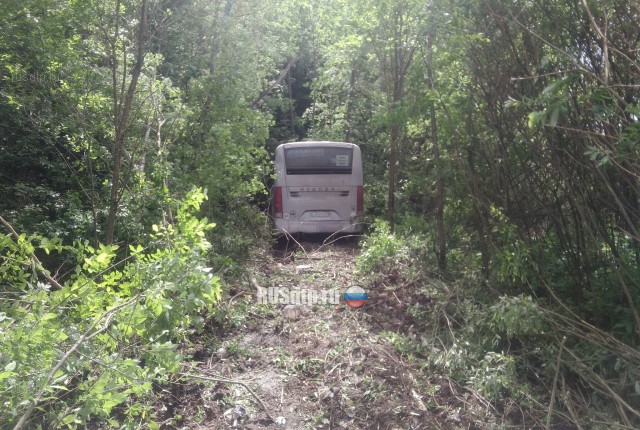 Водитель «Ниссана» погиб в ДТП с автобусом в Тверской области