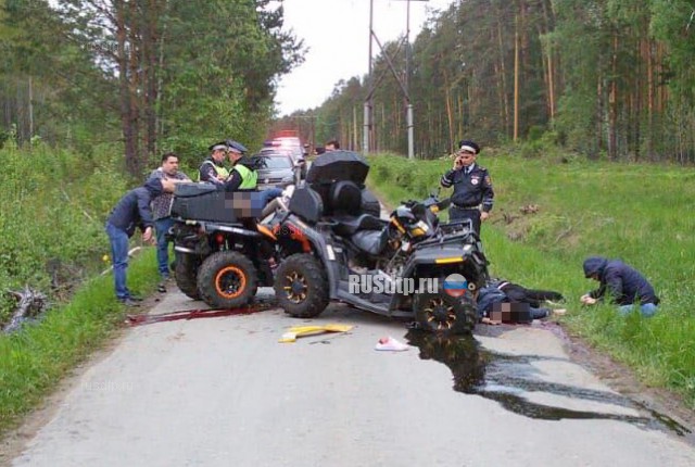 Четверо погибли в лобовом столкновении квадроциклов в Свердловской области