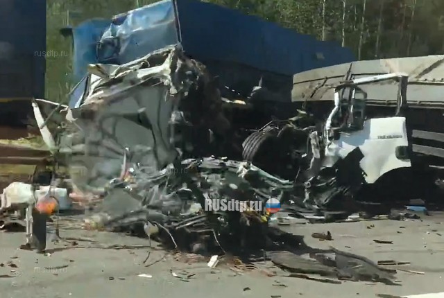 Три человека погибли в массовом ДТП на трассе М-8 в Вологодской области