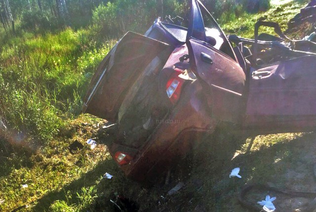 На Мурманском шоссе из-за лося в ДТП погибли два человека