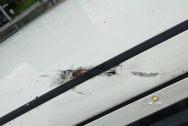 Горящий кабель упал на крышу автомобиля в Новосибирске