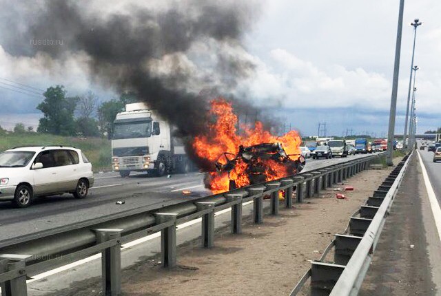 На Пулковском шоссе двое сгорели в автомобиле из-за выбежавшей на дорогу собаки