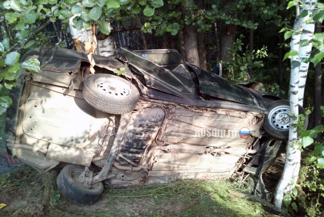 Двое погибли при столкновении автомобиля с деревом в Марий Эл