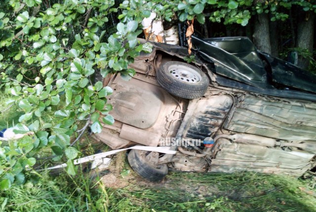 Двое погибли при столкновении автомобиля с деревом в Марий Эл
