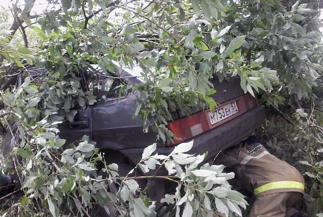50-летний водитель ВАЗа погиб, вылетев в кювет