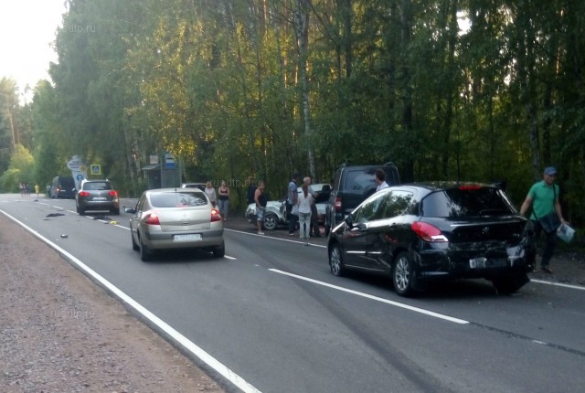В Петербурге водитель совершил массовое ДТП и спрятался в лесу