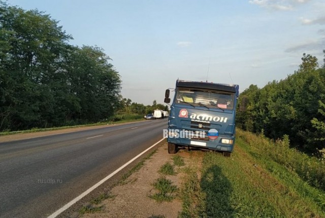 Трое погибли в ДТП с участием микроавтобуса и грузовика в Ростовской области