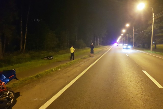 На Приморском шоссе мотоциклист погиб, сбив лося