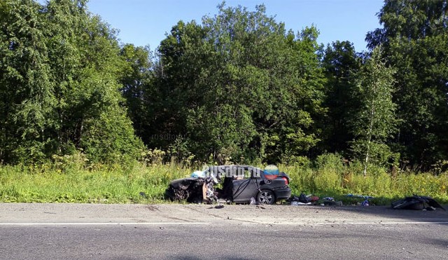 Видеорегистратор запечатлел момент гибели водителя на трассе М-5 в Ашинском районе